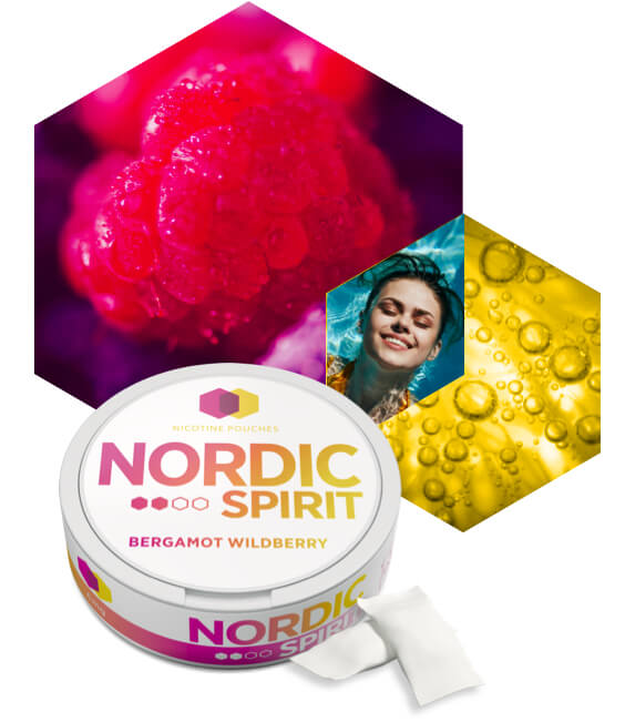 Nordic Spirit Mint Menthol Nicotine Pouches