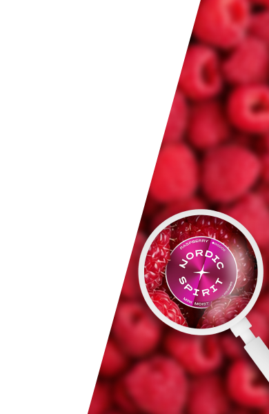 Can of MINI Raspberry nicotine pouches sits over a blurred background filled with raspberries, and a white diagonal section with a magnifying glass zoomed in on the can.