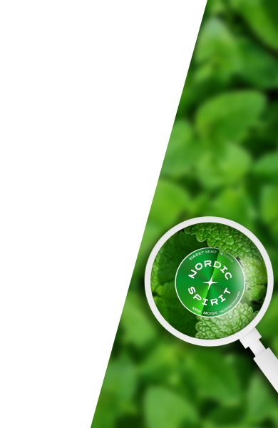 Can of MINI Sweet Mint nicotine pouches sits over a blurred background filled with mint leaves, and a white diagonal section with a magnifying glass zoomed in on the can.
